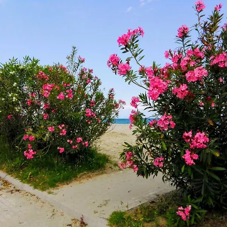 Apartment Milla Lux 1 *