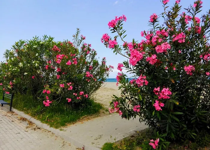 Apartament Milla Lux 1 *